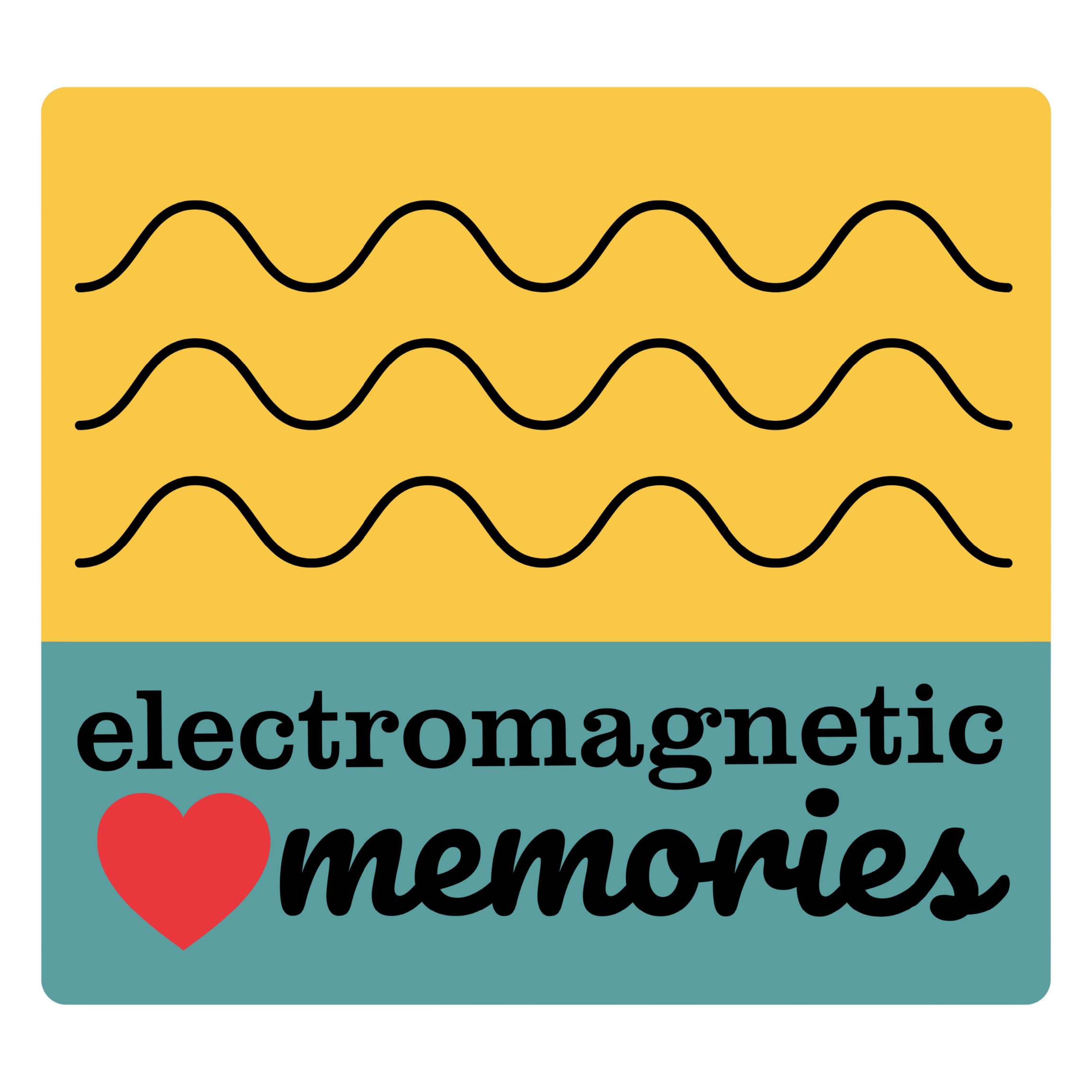 electromagnetic memories